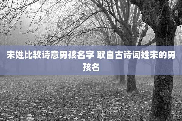 宋姓比较诗意男孩名字 取自古诗词姓宋的男孩名
