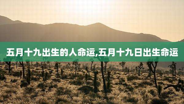 五月十九出生的人命运,五月十九日出生命运