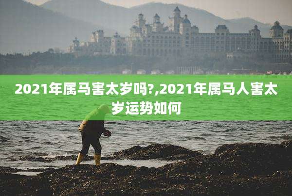 2021年属马害太岁吗?,2021年属马人害太岁运势如何