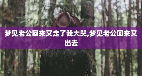 梦见老公回来又走了我大哭,梦见老公回来又出去