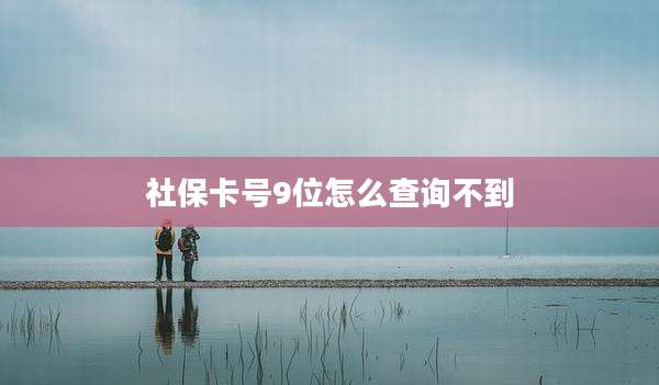 社保卡号9位怎么查询不到