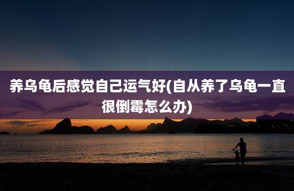 养乌龟后感觉自己运气好(自从养了乌龟一直很倒霉怎么办)