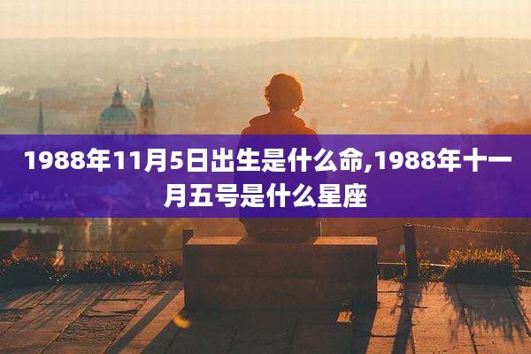 1988年11月5日出生是什么命,1988年十一月五号是什么星座