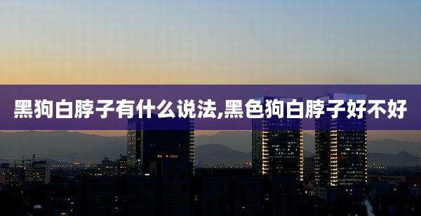 黑狗白脖子有什么说法,黑色狗白脖子好不好