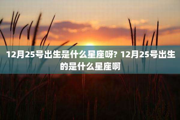 12月25号出生是什么星座呀? 12月25号出生的是什么星座啊