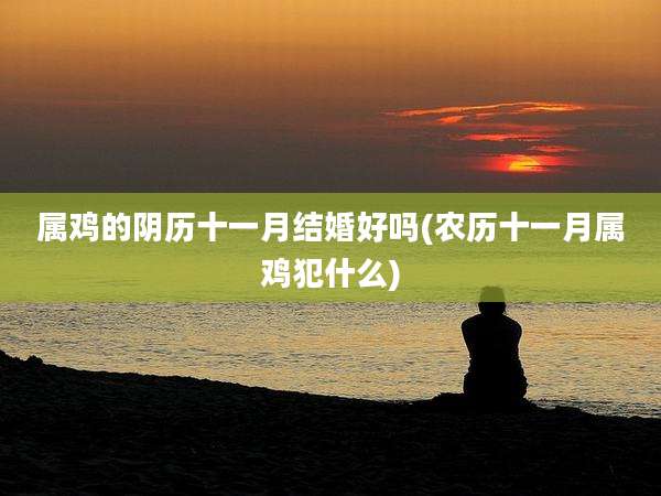 属鸡的阴历十一月结婚好吗(农历十一月属鸡犯什么)