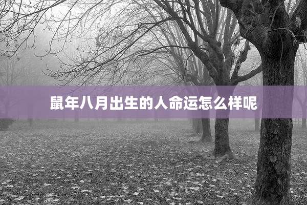 鼠年八月出生的人命运怎么样呢