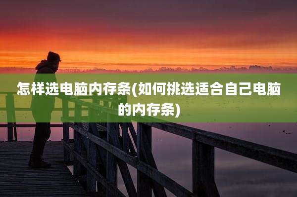 怎样选电脑内存条(如何挑选适合自己电脑的内存条)