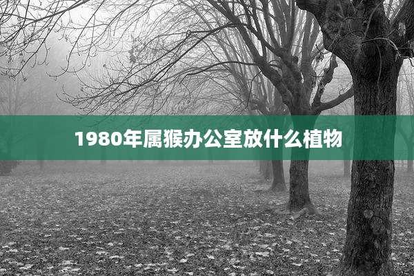 1980年属猴办公室放什么植物