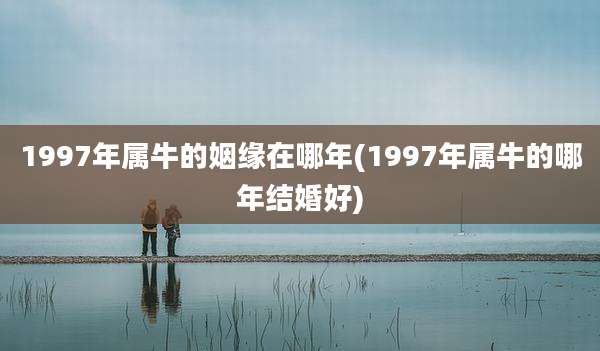 1997年属牛的姻缘在哪年(1997年属牛的哪年结婚好)