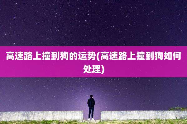 高速路上撞到狗的运势(高速路上撞到狗如何处理)