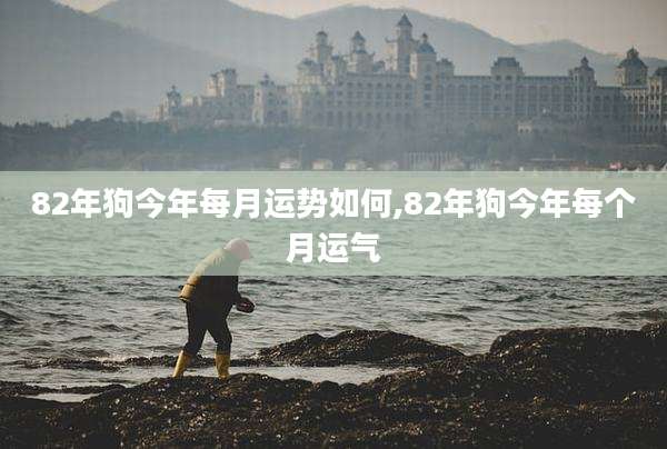 82年狗今年每月运势如何,82年狗今年每个月运气
