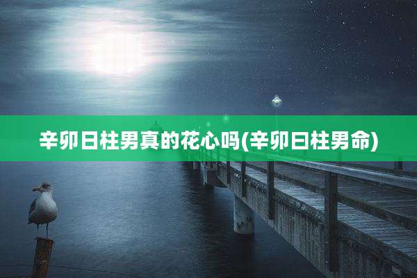辛卯日柱男真的花心吗(辛卯曰柱男命)