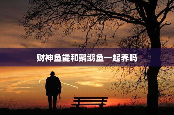 财神鱼能和鹦鹉鱼一起养吗