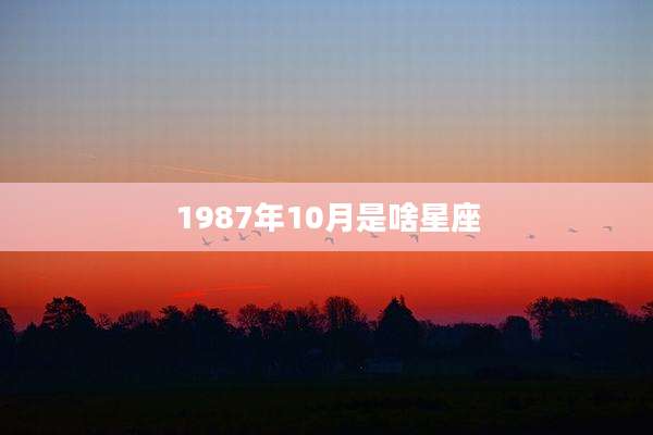 1987年10月是啥星座