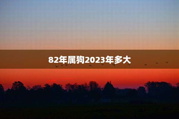 82年属狗2023年多大