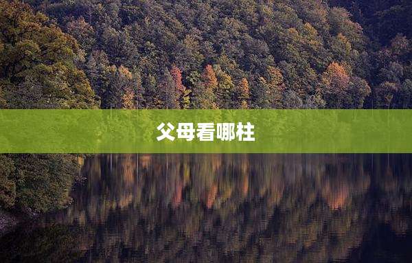 父母看哪柱