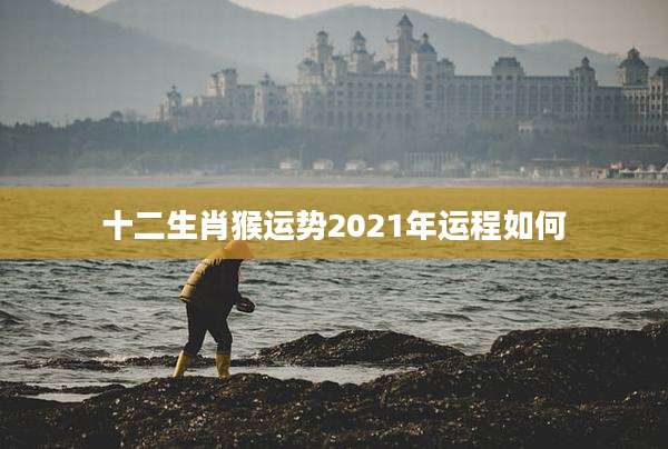 十二生肖猴运势2021年运程如何