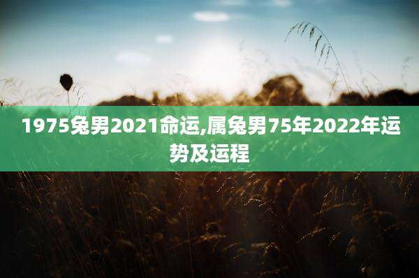 1975兔男2021命运,属兔男75年2022年运势及运程