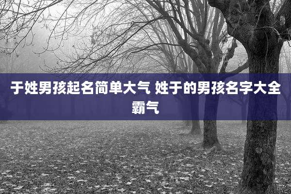 于姓男孩起名简单大气 姓于的男孩名字大全霸气