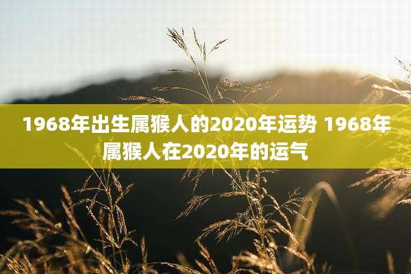 1968年出生属猴人的2020年运势 1968年属猴人在2020年的运气
