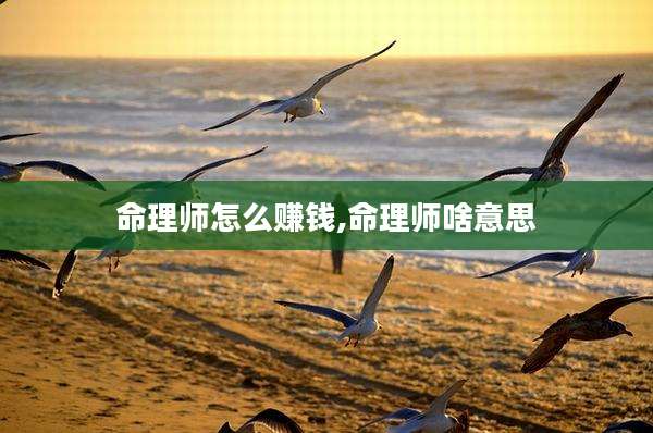 命理师怎么赚钱,命理师啥意思