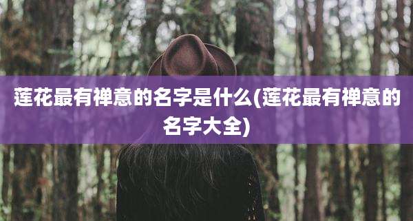 莲花最有禅意的名字是什么(莲花最有禅意的名字大全)