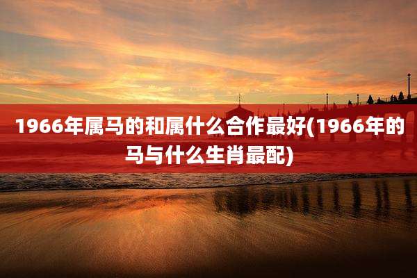 1966年属马的和属什么合作最好(1966年的马与什么生肖最配)