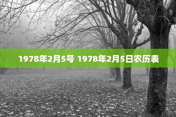 1978年2月5号 1978年2月5日农历表