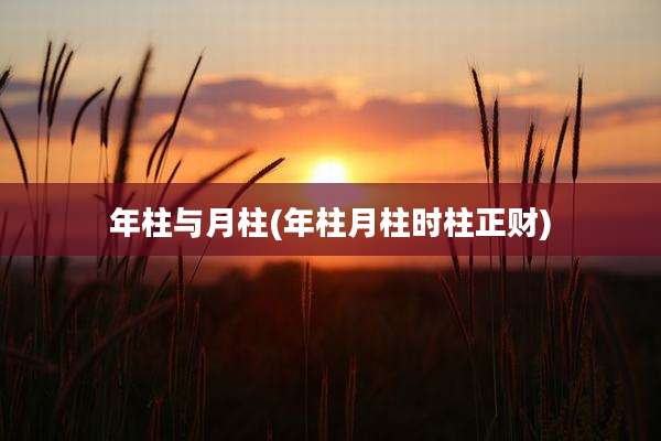 年柱与月柱(年柱月柱时柱正财)