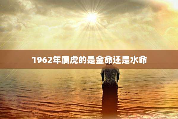 1962年属虎的是金命还是水命