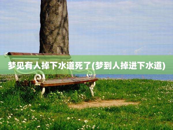 梦见有人掉下水道死了(梦到人掉进下水道)
