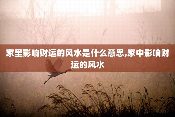 家里影响财运的风水是什么意思,家中影响财运的风水