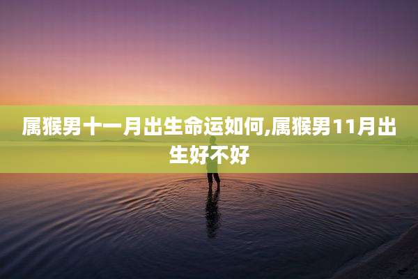属猴男十一月出生命运如何,属猴男11月出生好不好