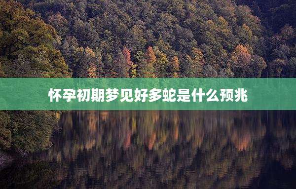 怀孕初期梦见好多蛇是什么预兆