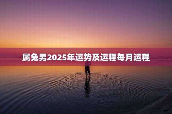 属兔男2025年运势及运程每月运程