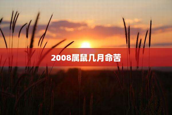 2008属鼠几月命苦