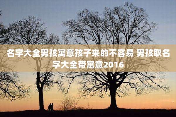名字大全男孩寓意孩子来的不容易 男孩取名字大全带寓意2016