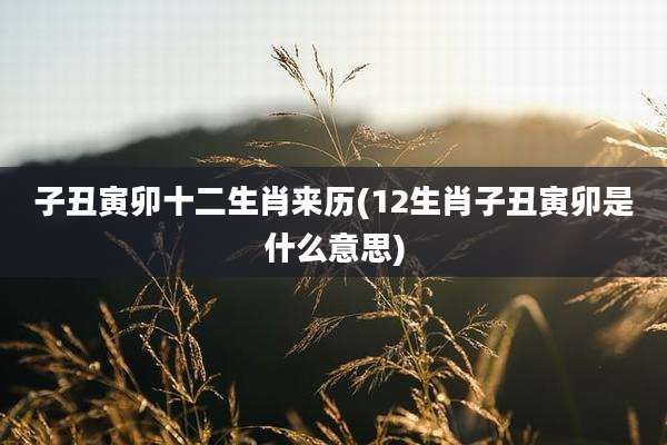 子丑寅卯十二生肖来历(12生肖子丑寅卯是什么意思)