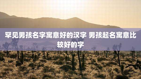 罕见男孩名字寓意好的汉字 男孩起名寓意比较好的字