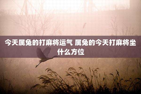 今天属兔的打麻将运气 属兔的今天打麻将坐什么方位