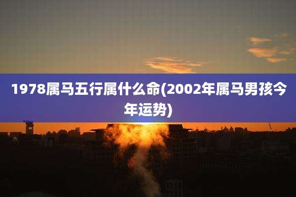 1978属马五行属什么命(2002年属马男孩今年运势)
