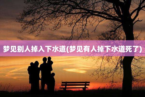 梦见别人掉入下水道(梦见有人掉下水道死了)