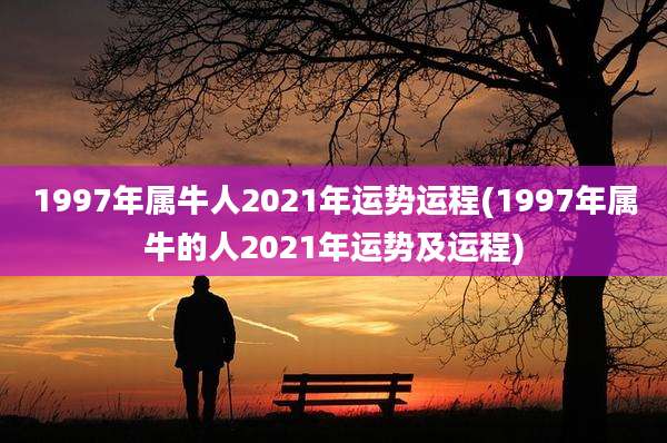 1997年属牛人2021年运势运程(1997年属牛的人2021年运势及运程)