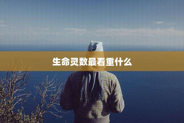 生命灵数最看重什么