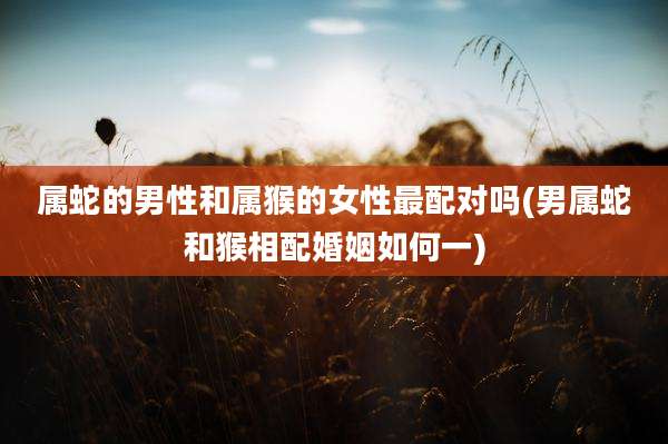 属蛇的男性和属猴的女性最配对吗(男属蛇和猴相配婚姻如何一)
