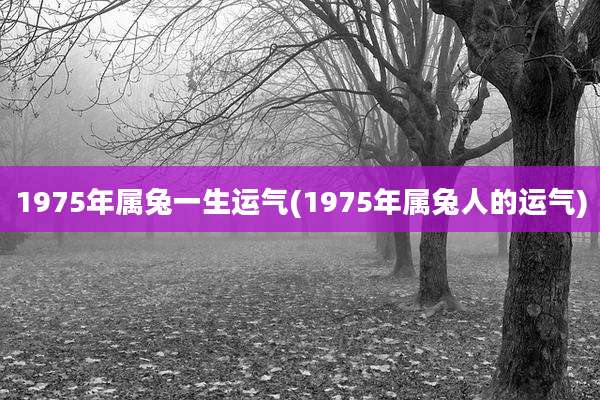 1975年属兔一生运气(1975年属兔人的运气)
