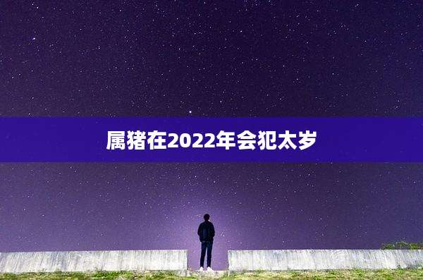 属猪在2022年会犯太岁