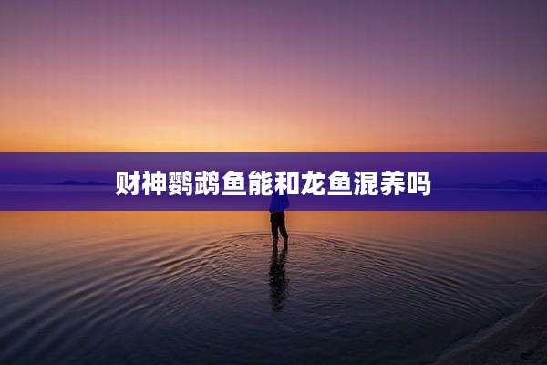 财神鹦鹉鱼能和龙鱼混养吗