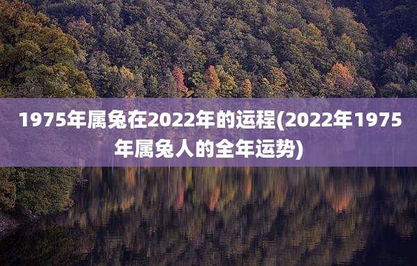 1975年属兔在2022年的运程(2022年1975年属兔人的全年运势)